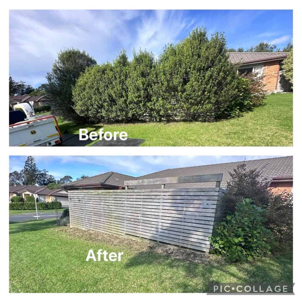 allout hedge &amp; tree maintenance,hibiscus coast hedge and tree maintenance,hibiscus coast arborists,hibiscus coast tree felling,hibiscus coast hedge trimming,hibiscus coast tree services,hibiscus coast landscaping,hibiscus coast landscapers,hibiscus coast outdoor power equipment,hibiscus coast chainsaws,hibiscus coast cutting tools,arborists on the hibiscus coast,orewa arborists,whangaparaoa arborists,silverdale arborists,millwater arborists,milldale arborists,whangaparaoa hedge trimming,orewa tree trimming,hibiscus coast tree trimming,arborist,tree felling,hibiscus coast tree pruning,hibiscus coast green waste removal,hibiscus coast land clearing,hibiscus coast crown reduction,hibiscus coast hedges,arborists near me,hedge trimmers near me,tree fellers near me