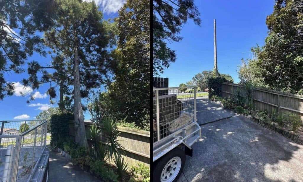 allout hedge &amp; tree maintenance,hibiscus coast hedge and tree maintenance,hibiscus coast arborists,hibiscus coast tree felling,hibiscus coast hedge trimming,hibiscus coast tree services,hibiscus coast landscaping,hibiscus coast landscapers,hibiscus coast outdoor power equipment,hibiscus coast chainsaws,hibiscus coast cutting tools,arborists on the hibiscus coast,orewa arborists,whangaparaoa arborists,silverdale arborists,millwater arborists,milldale arborists,whangaparaoa hedge trimming,orewa tree trimming,hibiscus coast tree trimming,arborist,tree felling,hibiscus coast tree pruning,hibiscus coast green waste removal,hibiscus coast land clearing,hibiscus coast crown reduction,hibiscus coast hedges,arborists near me,hedge trimmers near me,tree fellers near me