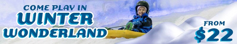 Winter Wonderland 2025