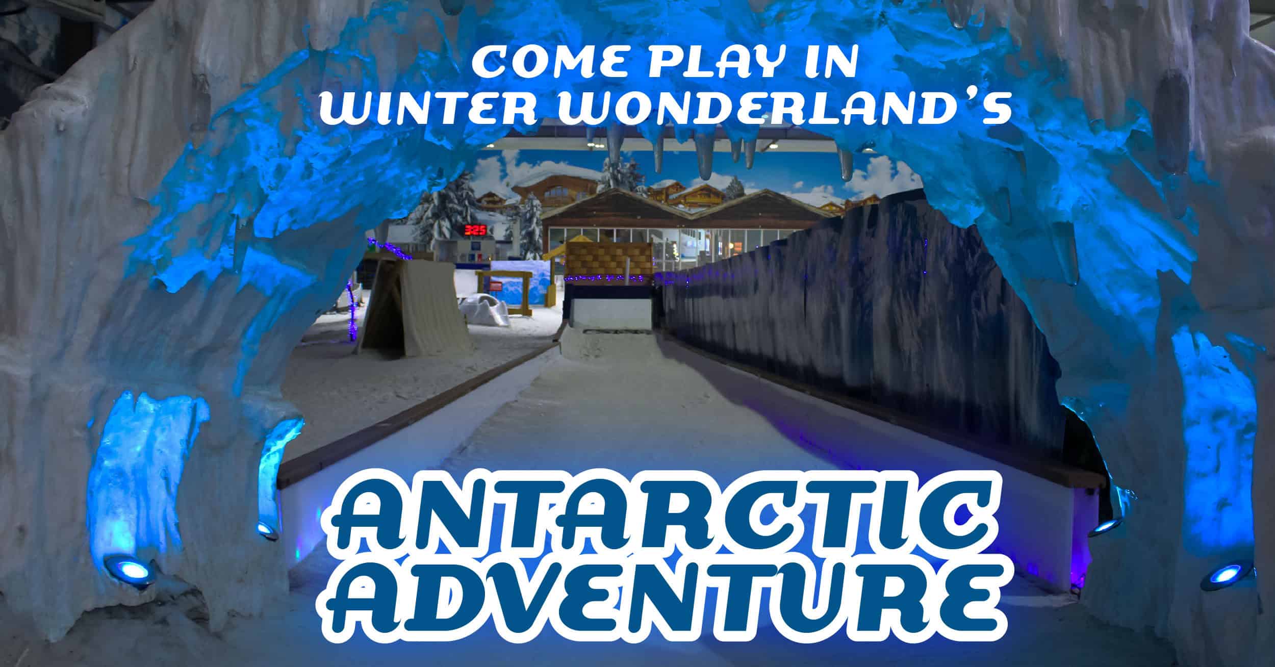 antarctic adventure 2026 600x314 2